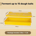 5 Colour Coded Dough Storage-Tray With 1 Lid
