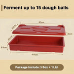 5 Colour Coded Dough Storage-Tray With 1 Lid
