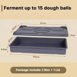 5 Colour Coded Dough Storage-Tray With 1 Lid