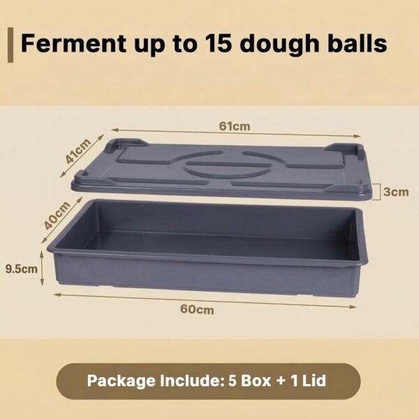 5 Colour Coded Dough Storage-Tray With 1 Lid