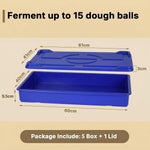 5 Colour Coded Dough Storage-Tray With 1 Lid